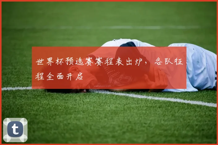 世界杯预选赛赛程表出炉，各队征程全面开启