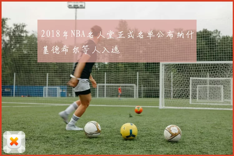 2018年NBA名人堂正式名单公布纳什基德希尔等人入选