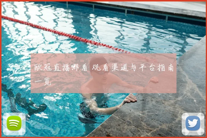 欧冠直播哪看 观看渠道与平台指南一览