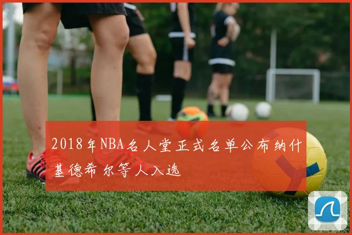 2018年NBA名人堂正式名单公布纳什基德希尔等人入选