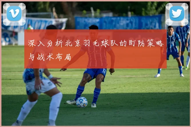 深入分析北京羽毛球队的盯防策略与战术布局