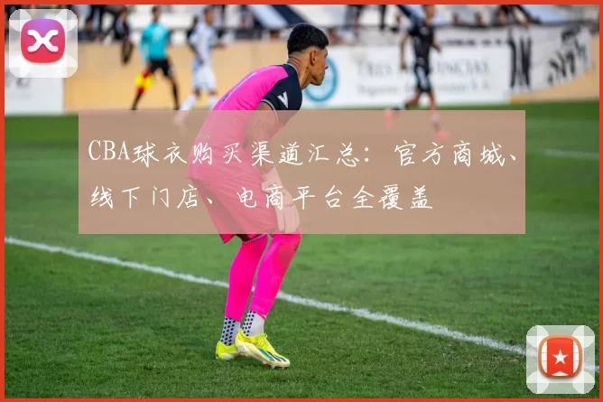 CBA球衣购买渠道汇总:官方商城、线下门店、电商平台全覆盖