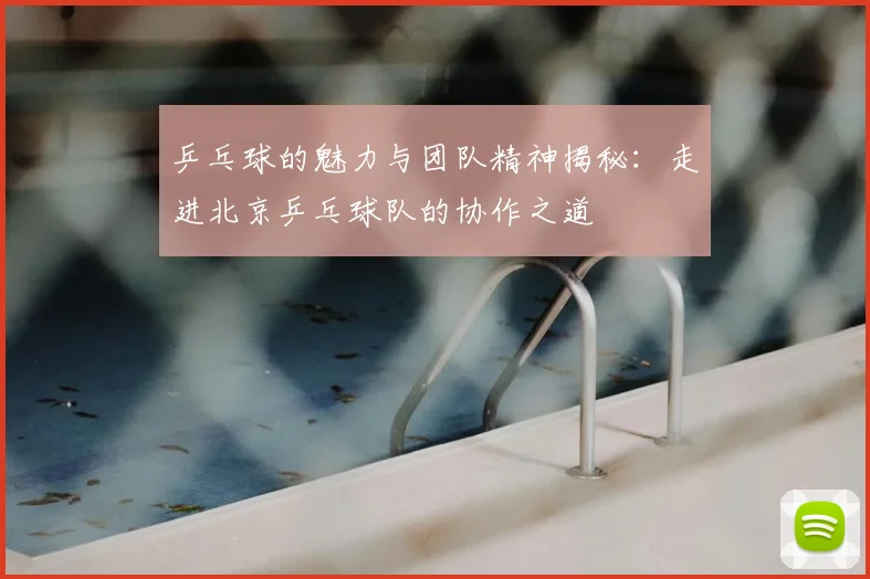 乒乓球的魅力与团队精神揭秘：走进北京乒乓球队的协作之道