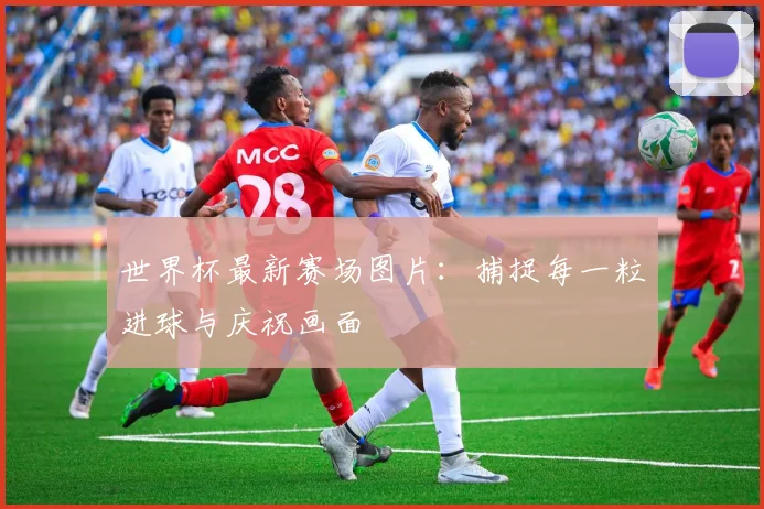 世界杯最新赛场图片:捕捉每一粒进球与庆祝画面
