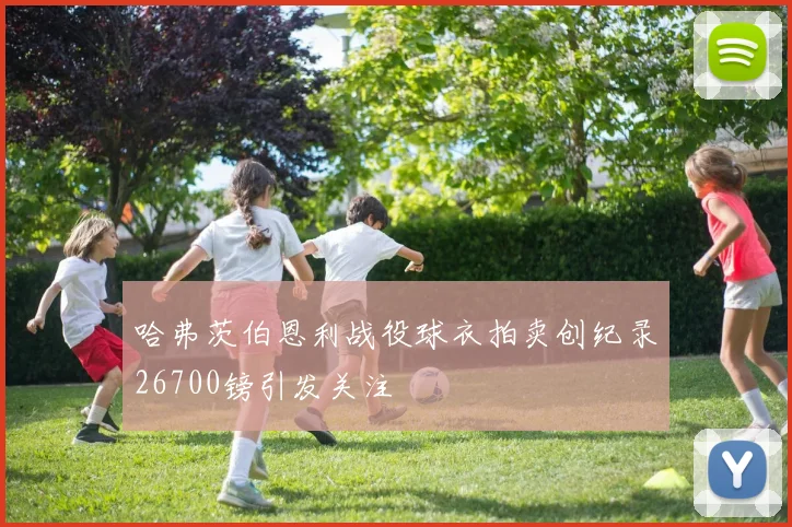 哈弗茨伯恩利战役球衣拍卖创纪录26700镑引发关注