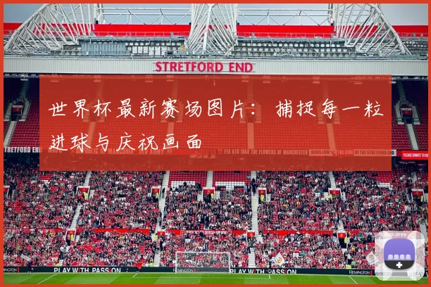 世界杯最新赛场图片：捕捉每一粒进球与庆祝画面