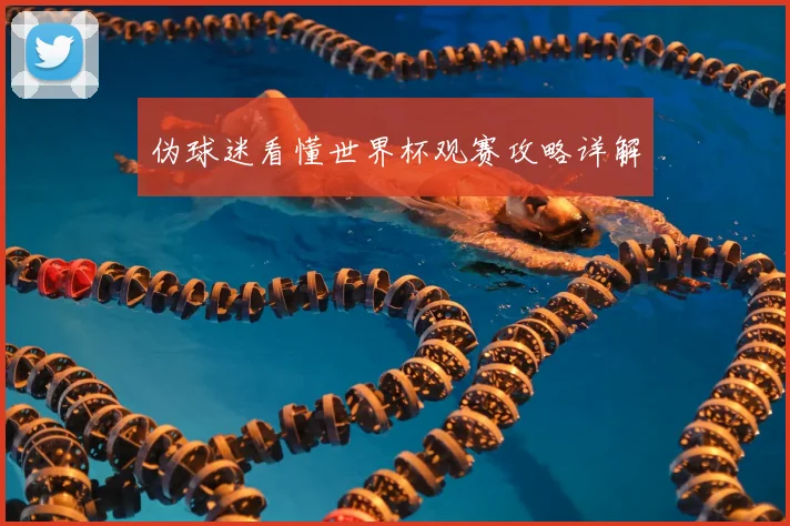 伪球迷看懂世界杯观赛攻略详解
