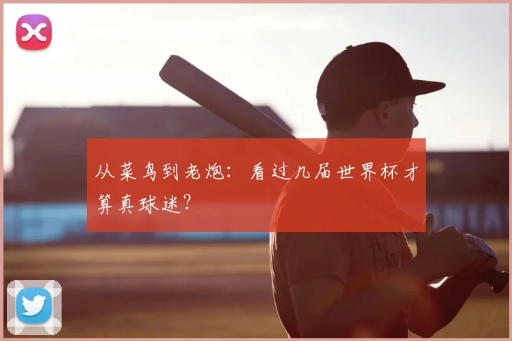 从菜鸟到老炮:看过几届世界杯才算真球迷?