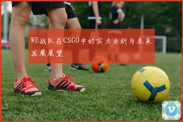 WE战队在CSGO中的实力分析与未来发展展望