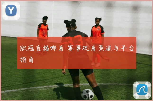 欧冠直播哪看 赛事观看渠道与平台指南