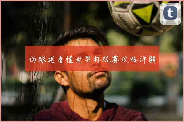 伪球迷看懂世界杯观赛攻略详解