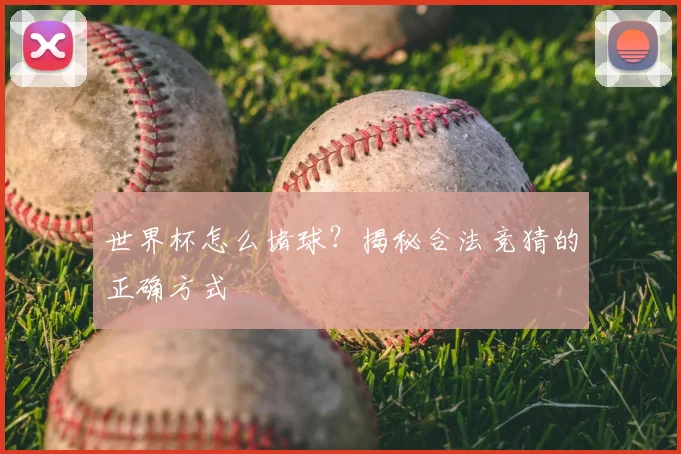 世界杯怎么堵球?揭秘合法竞猜的正确方式