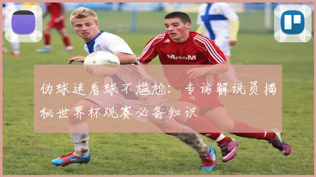 伪球迷看球不尴尬:专访解说员揭秘世界杯观赛必备知识