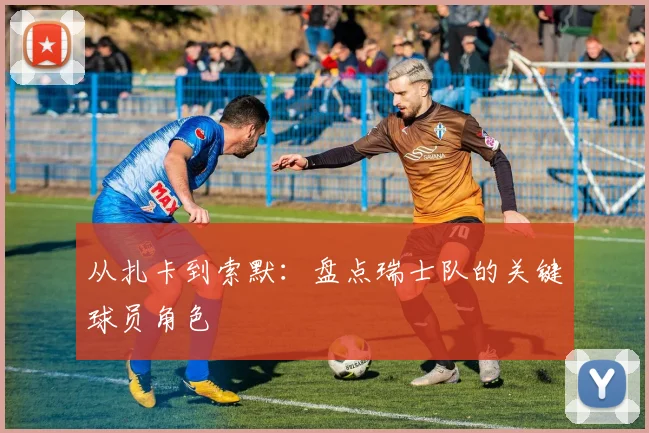 从扎卡到索默：盘点瑞士队的关键球员角色