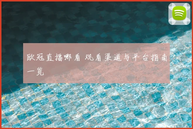 欧冠直播哪看 观看渠道与平台指南一览