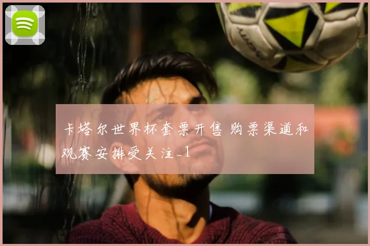 卡塔尔世界杯套票开售 购票渠道和观赛安排受关注_1