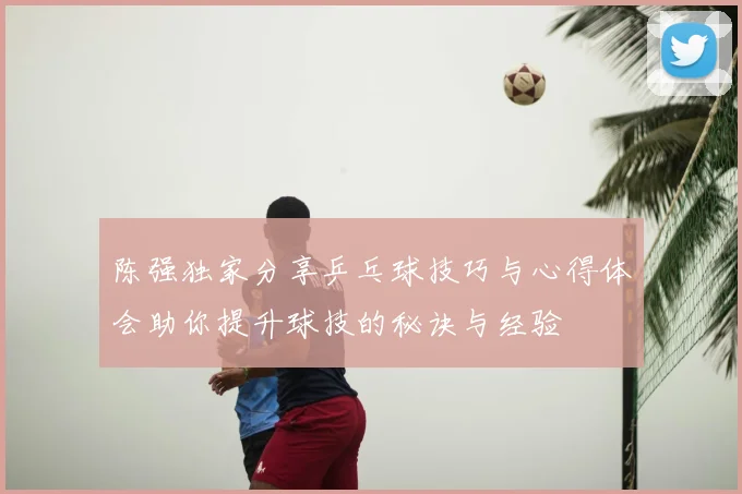 陈强独家分享乒乓球技巧与心得体会助你提升球技的秘诀与经验