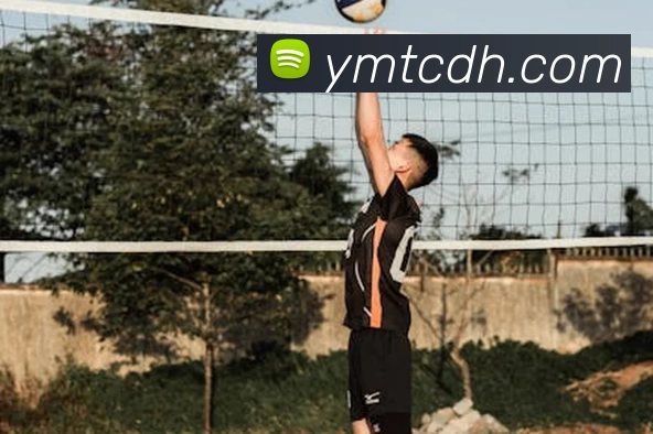 kaiyun平台生态图